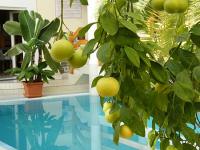 Wellness csomagok és félpanziós ajánlatok a Hotel Kakaduban Wellness csomagok és félpanziós ajánlatok a Hotel Kakaduban